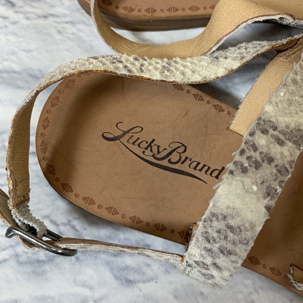 Lucky Brand LEATHER Strappy Snakeprint sandals 7.5 Open toe New - Picture 2 of 12